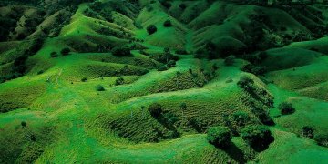 La Terre vue du ciel - Amérique