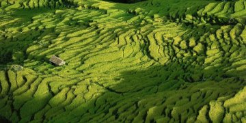 La Terre vue du ciel - Asie